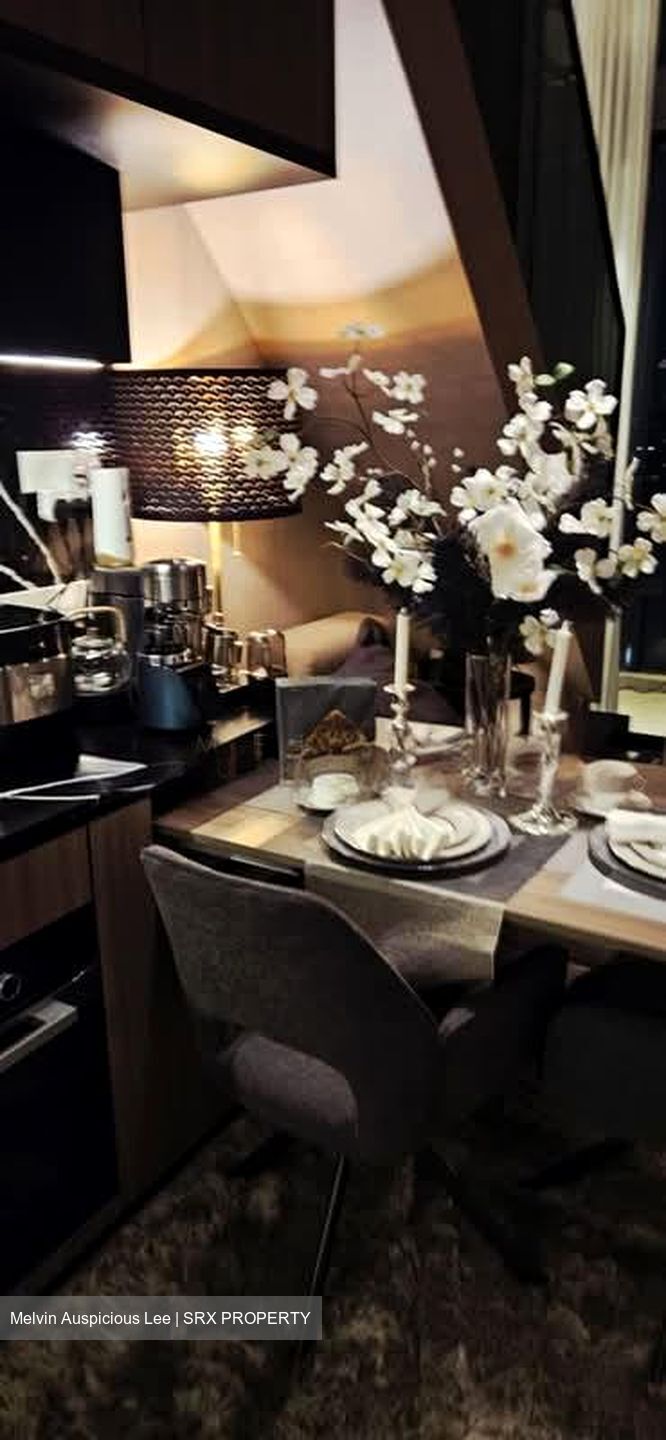 Irwell Hill Residences (D9), Apartment #563309911